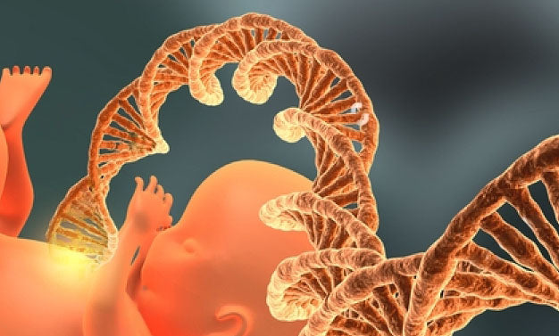 La recherche de trisomie avec la méthode de l'ADN fœtal : Comprendre et Profiter de ses Avantages
