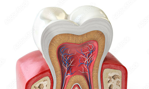 Est-il possible de ne pas perdre ses dents de lait ?