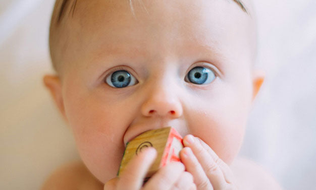 Brosse à dents bébé Les Babygators : Guide complet pour l’hygiène dentaire enfant