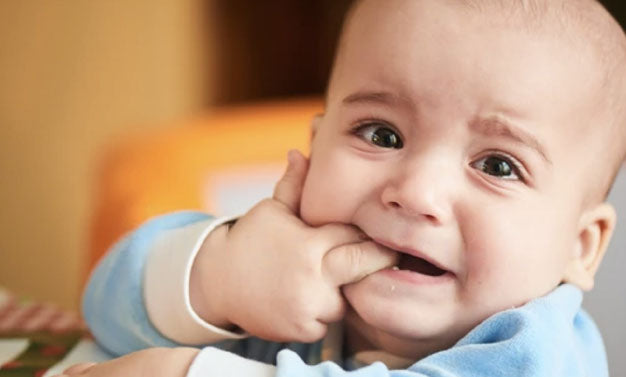 L'éruption des dents de lait chez les bébés.